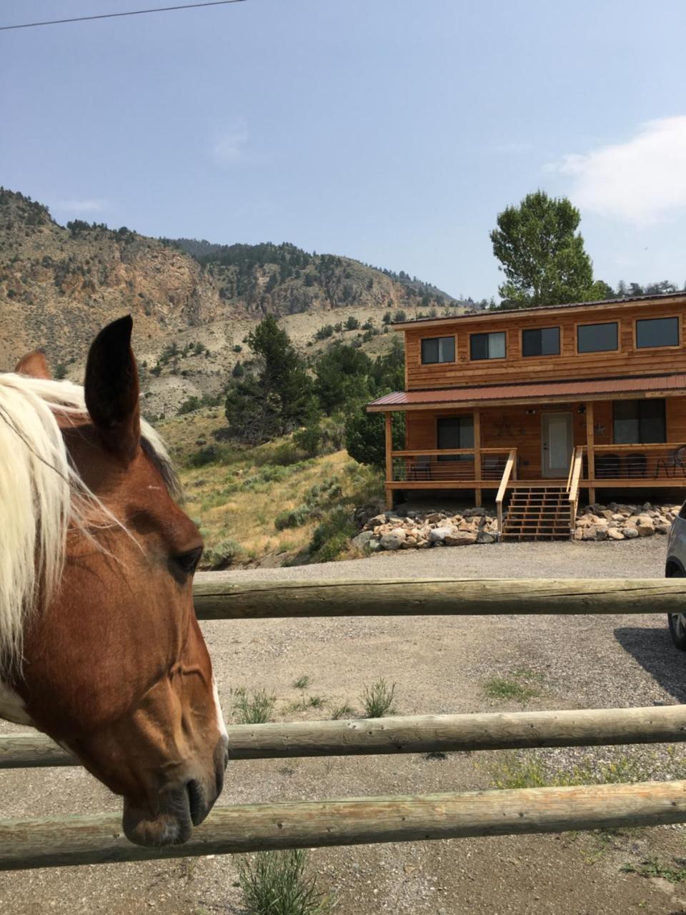 Villa Little Trail Creek Cabins Gardiner Exterior foto