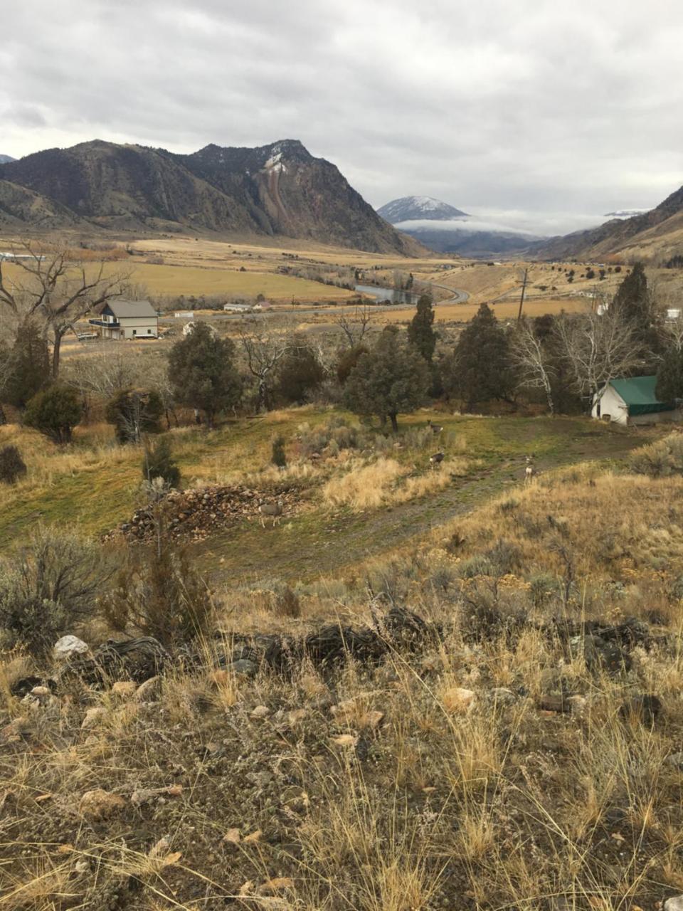 Villa Little Trail Creek Cabins Gardiner Exterior foto